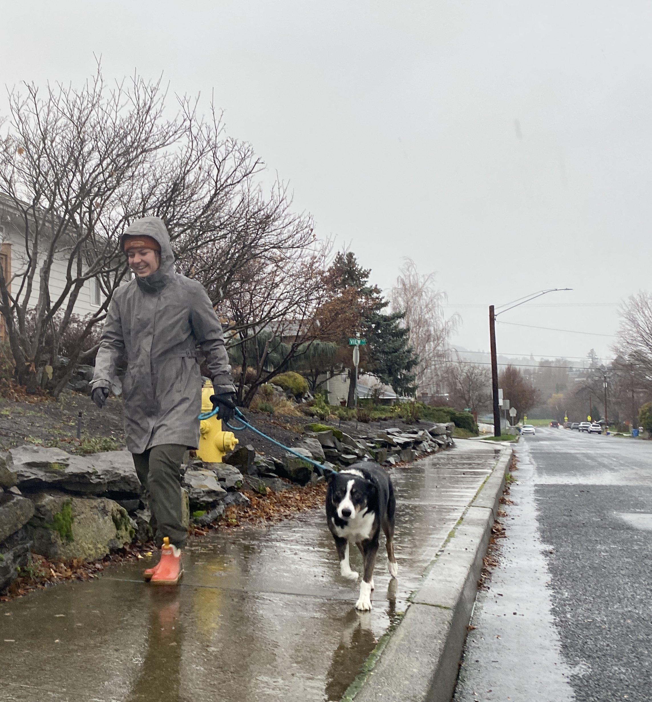 Wind, rain possibility of flood pouring through Gorge; HR schools closed; emergency declared