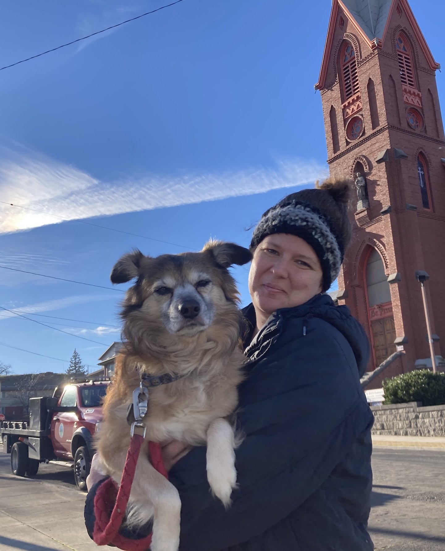 To Leash, or not to Leash, that is the question