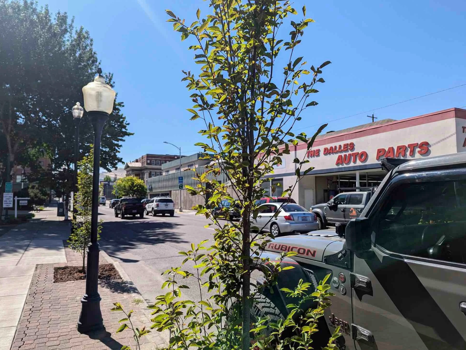 Downtown Beautification Grants Offer Up to $300 for Storefront Improvements