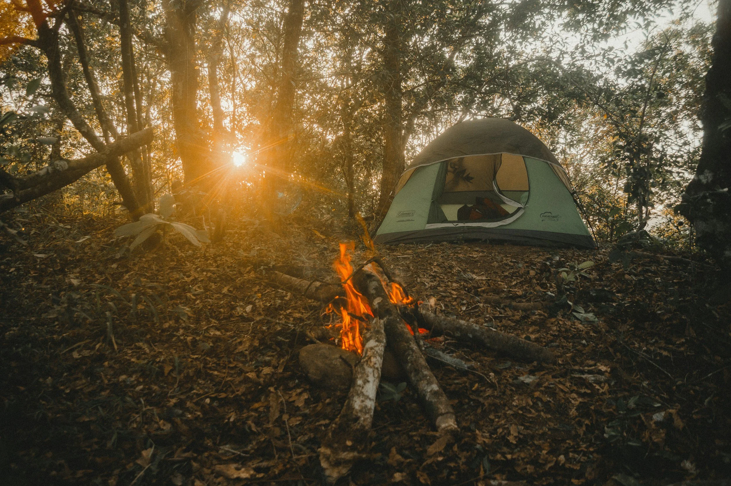 Stay Vigilant this Summer to Reduce Human-Caused Wildfires