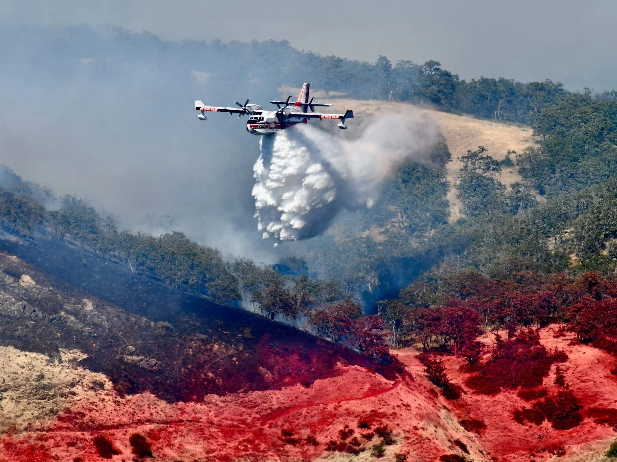 Lyle Cherry Orchard Preserve Closed Indefinitely Due to Lyle Wildfire
