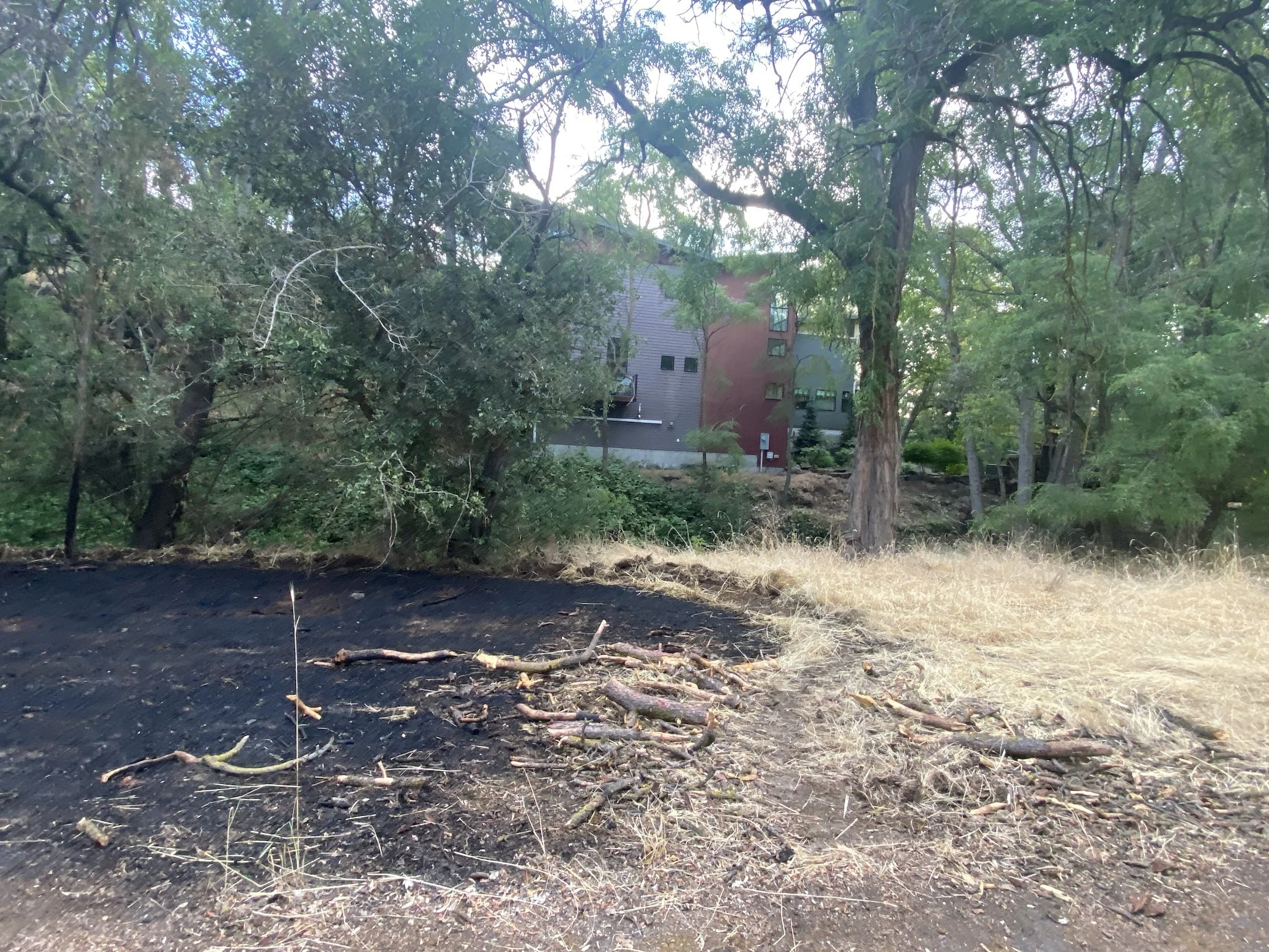 Brush Fire comes close to Creek View Condos on Mill Creek in heart of TD;  prompts evacuations