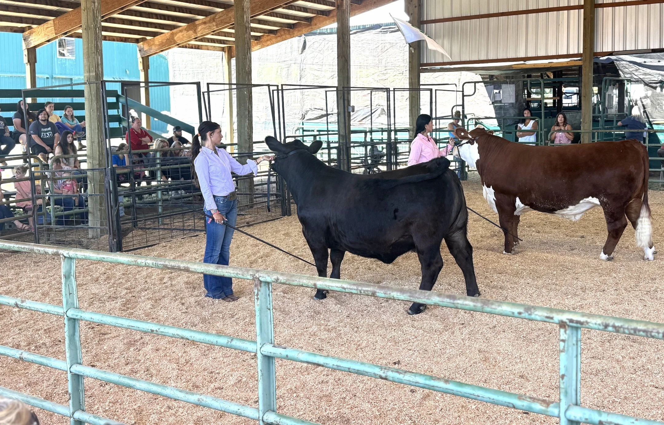 Hood River County Fair: Youth showcase livestock, 4-H and FFA talents July 22-25