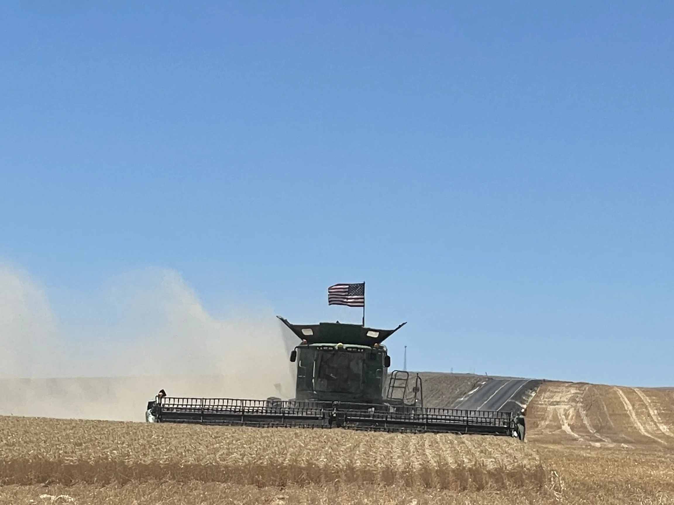 Strong Yields, Higher Prices Signal strong 2026 Wheat Harvest Across Mid-Columbia
