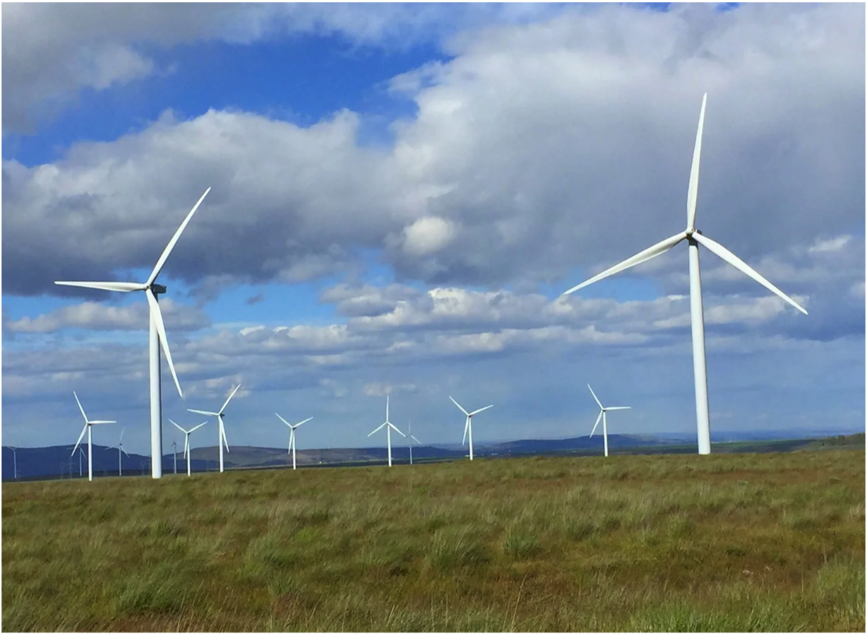 Oregon joins 18 states in Fight Against Trump Admin’s ‘blanket freeze’ on Wind Energy