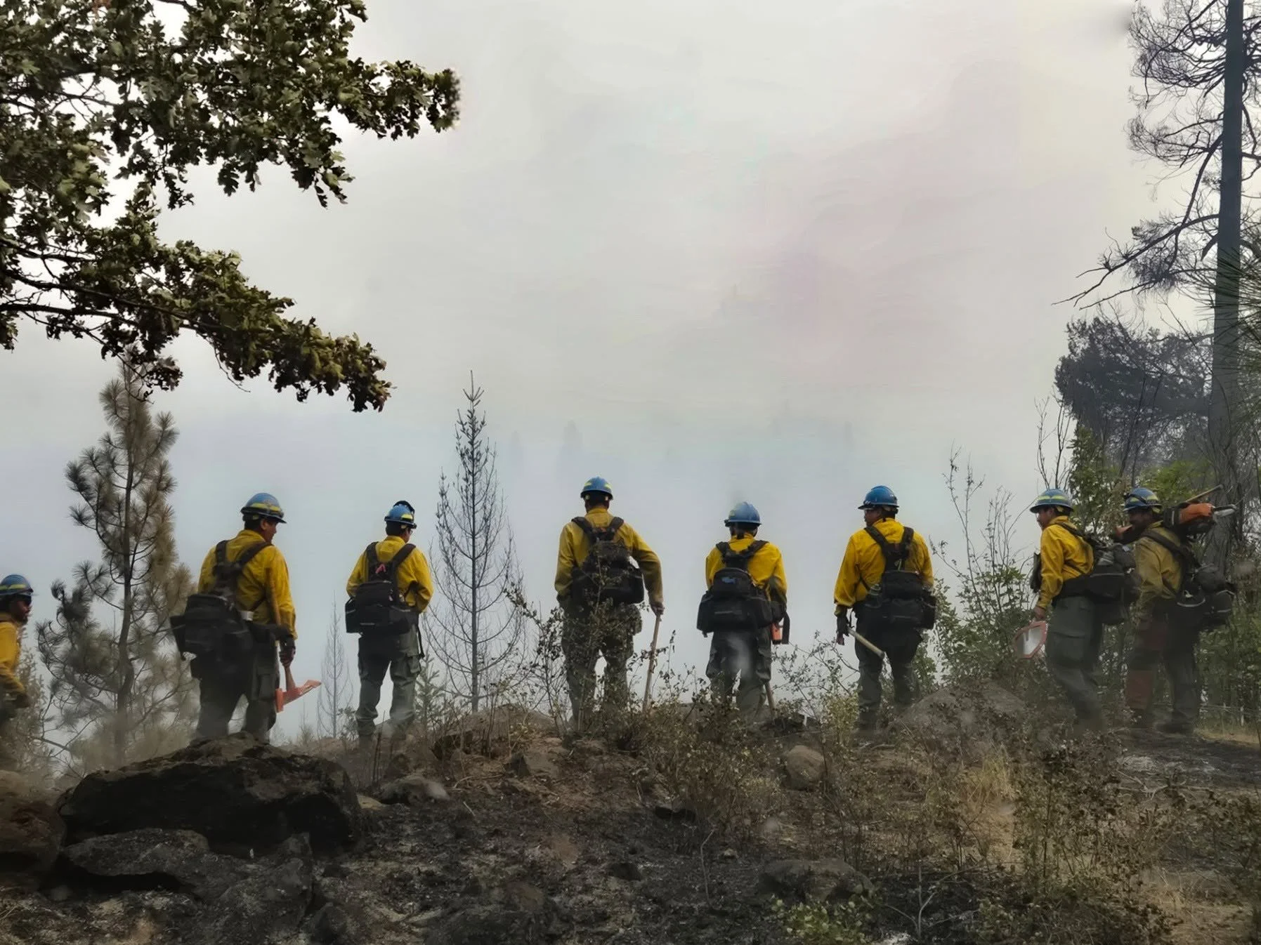 Grasshopper Fire reaches 66% containment as evacuations ease, Pine Hollow reopens
