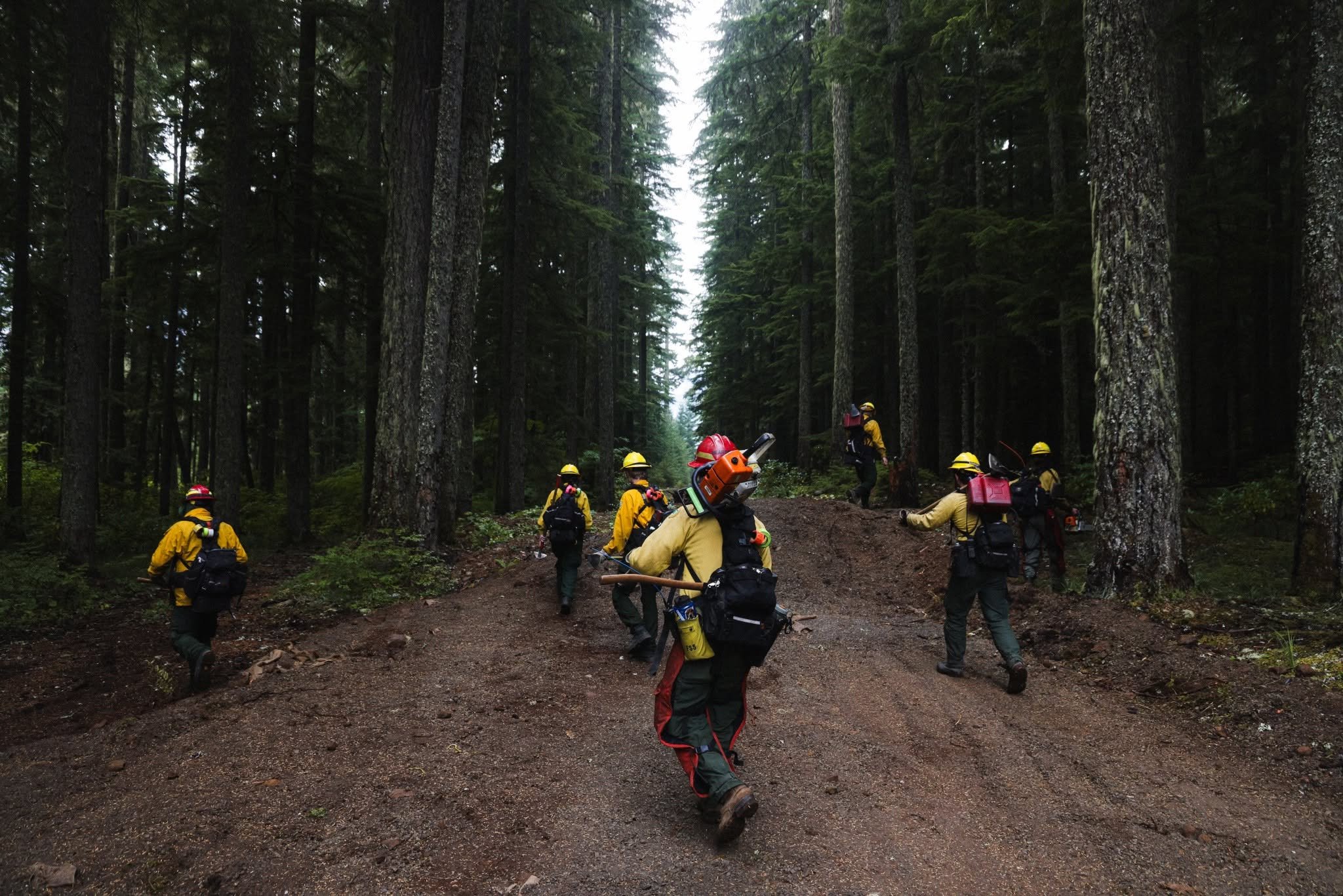 Grasshopper Fire Crews Built 331 Miles of Fireline and Roads During Two-Month Fight