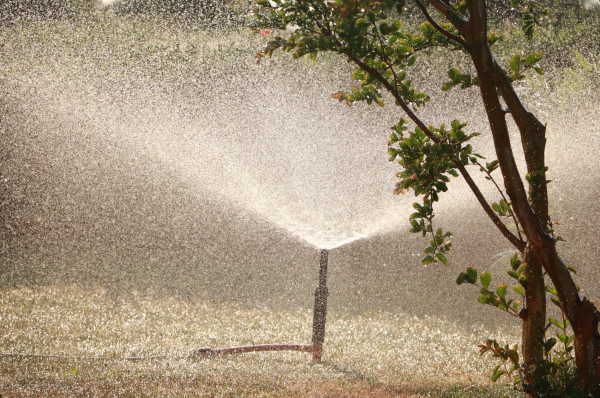Voluntary Water Restrictions Start September 8, 2026