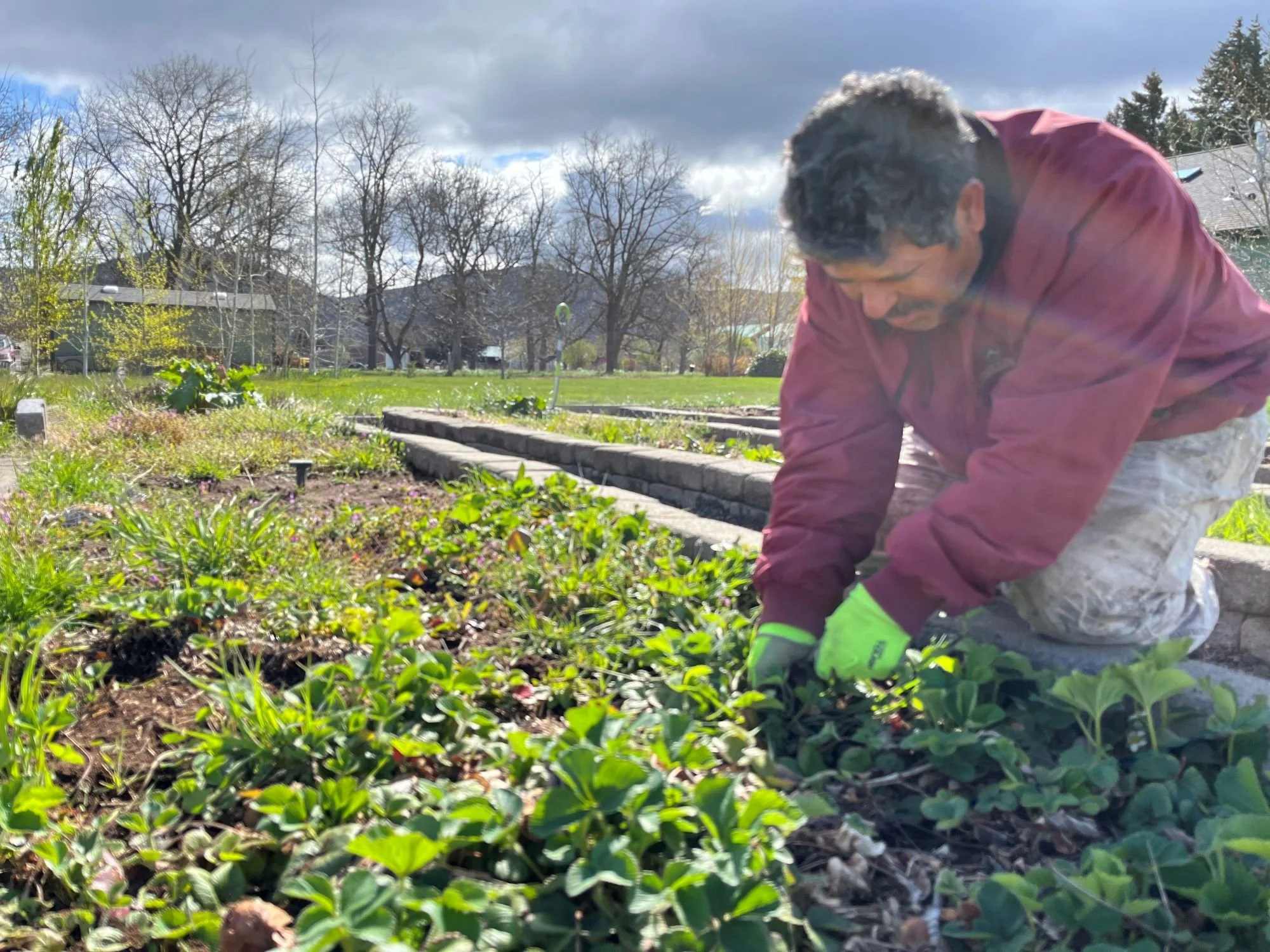 Five Top Local Chefs Host&nbsp;Annual&nbsp;Dinner to Support&nbsp;The&nbsp;Next Door’s&nbsp;Raíces&nbsp;Cooperative Farm