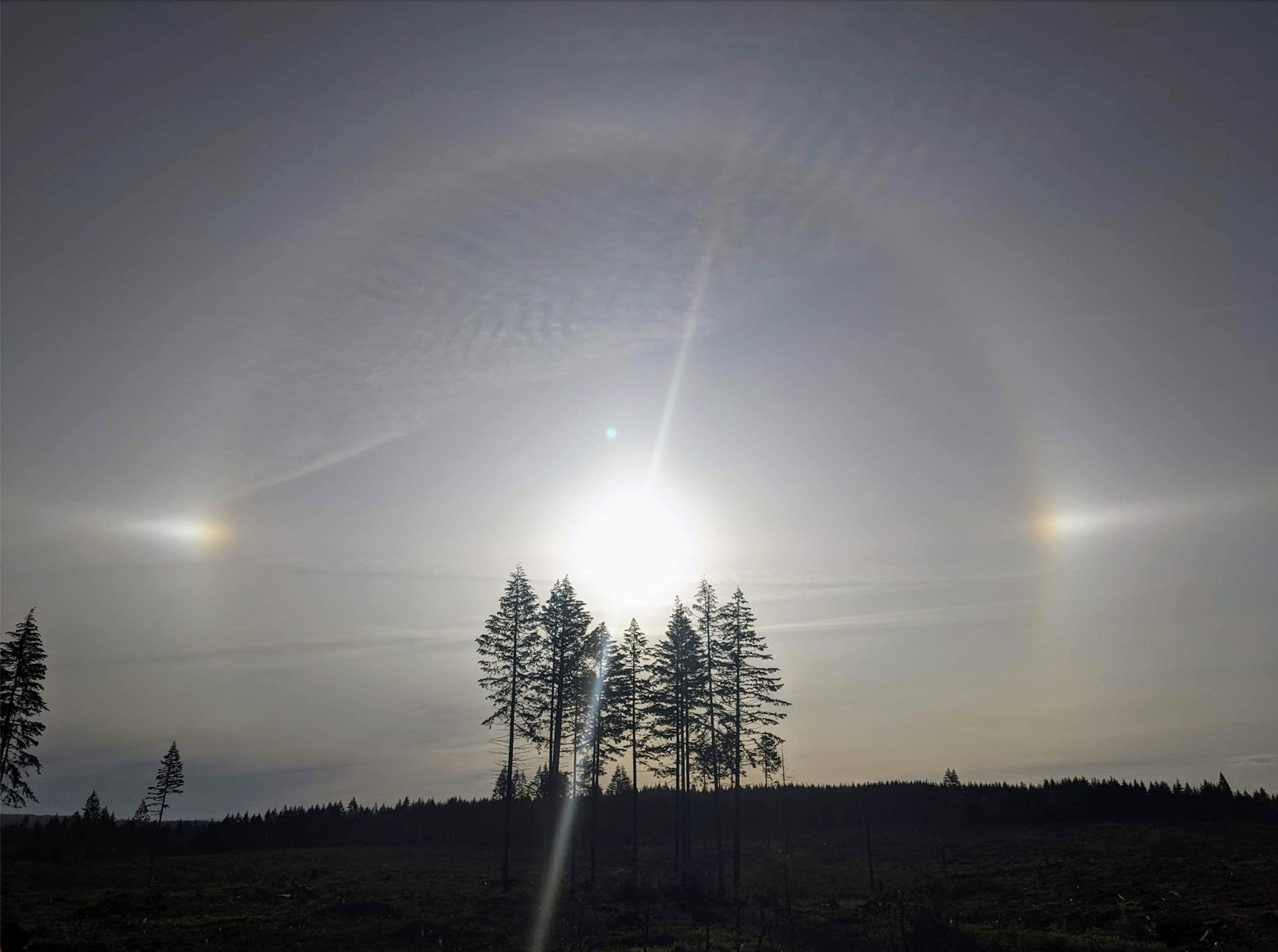 Have you seen the halo around the sun?