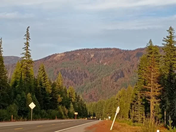 Grasshopper Fire Reaches 97% Containment as Crews Shift Toward Repair