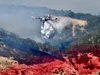 Lyle Cherry Orchard Preserve Closed Indefinitely Due to Lyle Wildfire ...