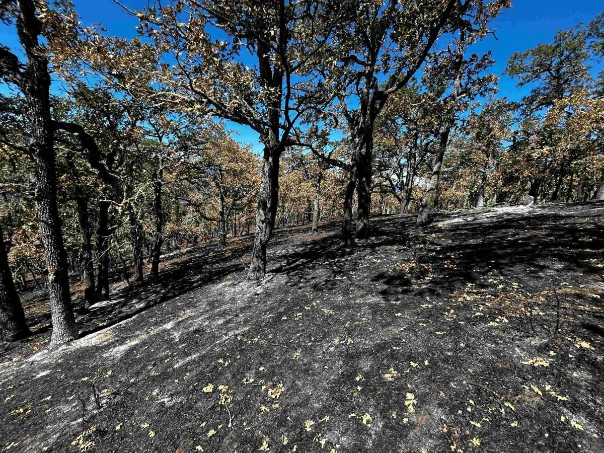 Lyle Cherry Orchard Preserve to Remain Closed Following Lyle Hill Fire ...