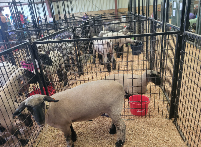 Thoughts from the Tractor Seat: When the Fair Had to Move, Two Counties Came Together