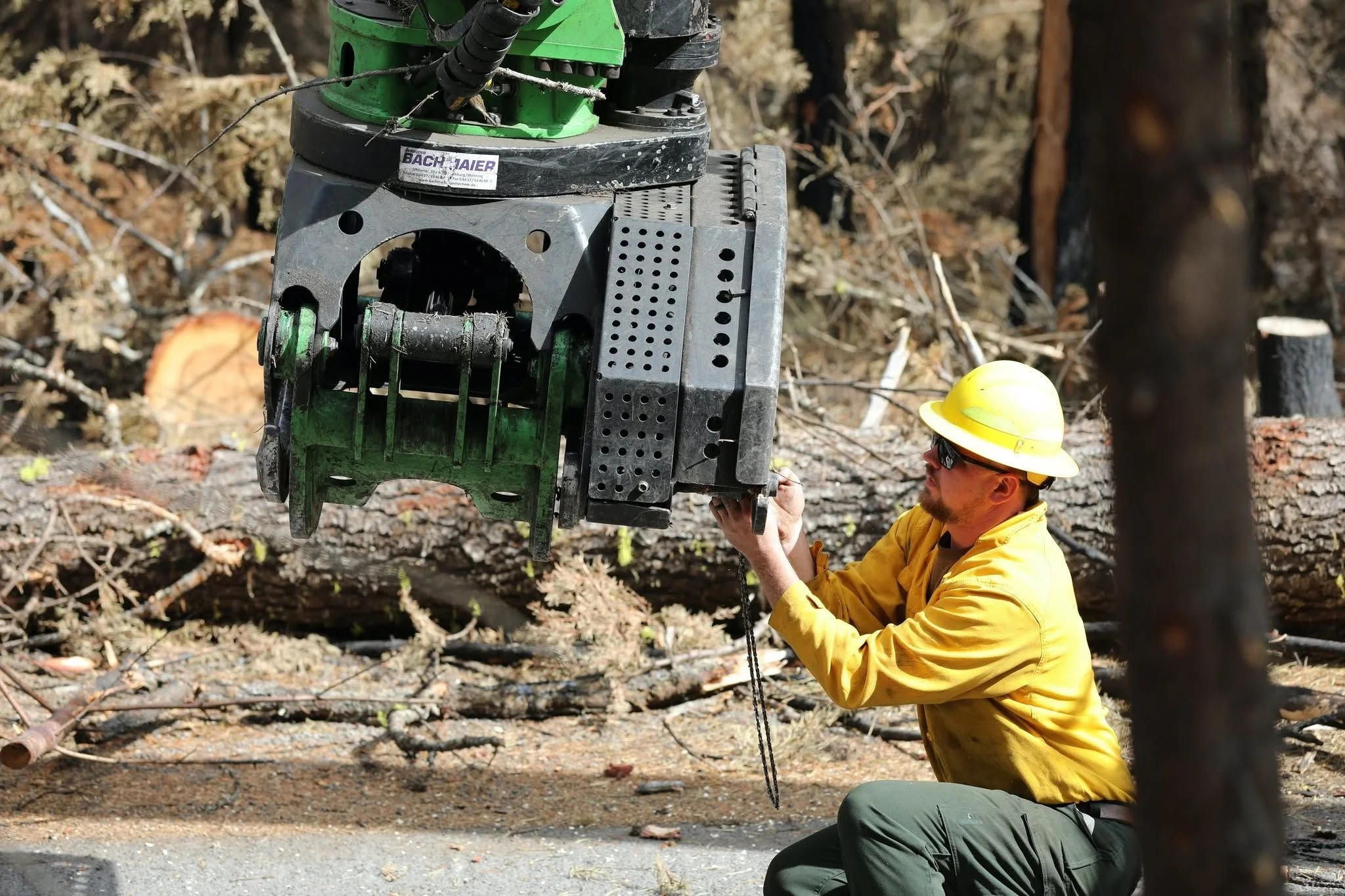 Grasshopper Fire Damages Five Campgrounds, Reaches 98% Containment