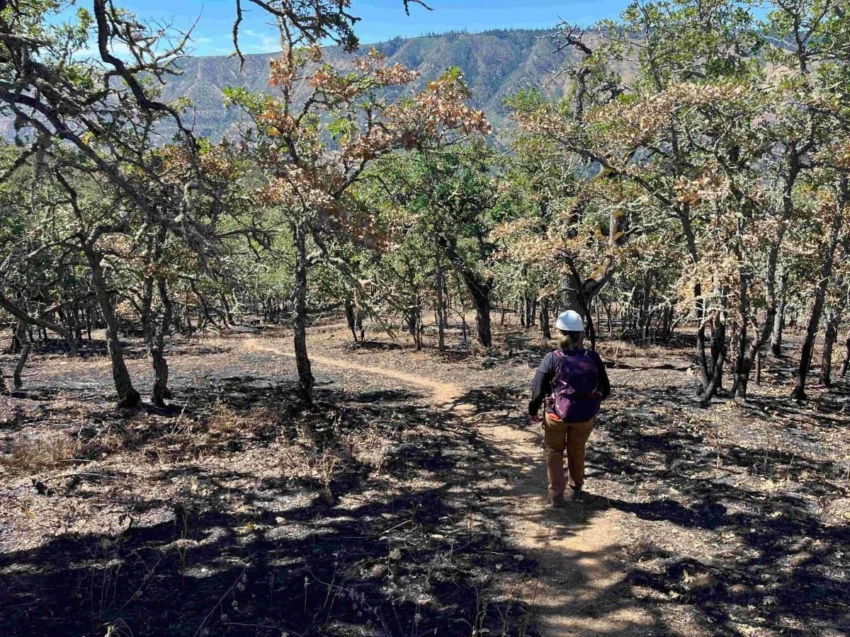 Lyle Cherry Orchard Preserve to Remain Closed Following Lyle Hill Fire ...