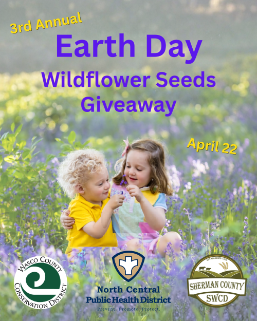 3rd Annual Free Wildflower Seeds Giveaway Celebration in The Dalles and Moro