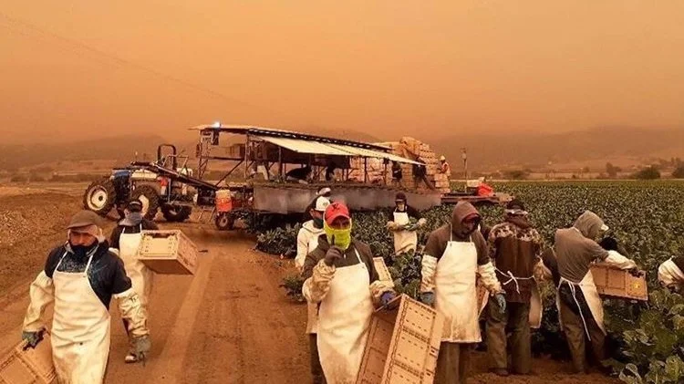 Workshop in Maupin to Focus on Protecting Homes from Wildfire Risk