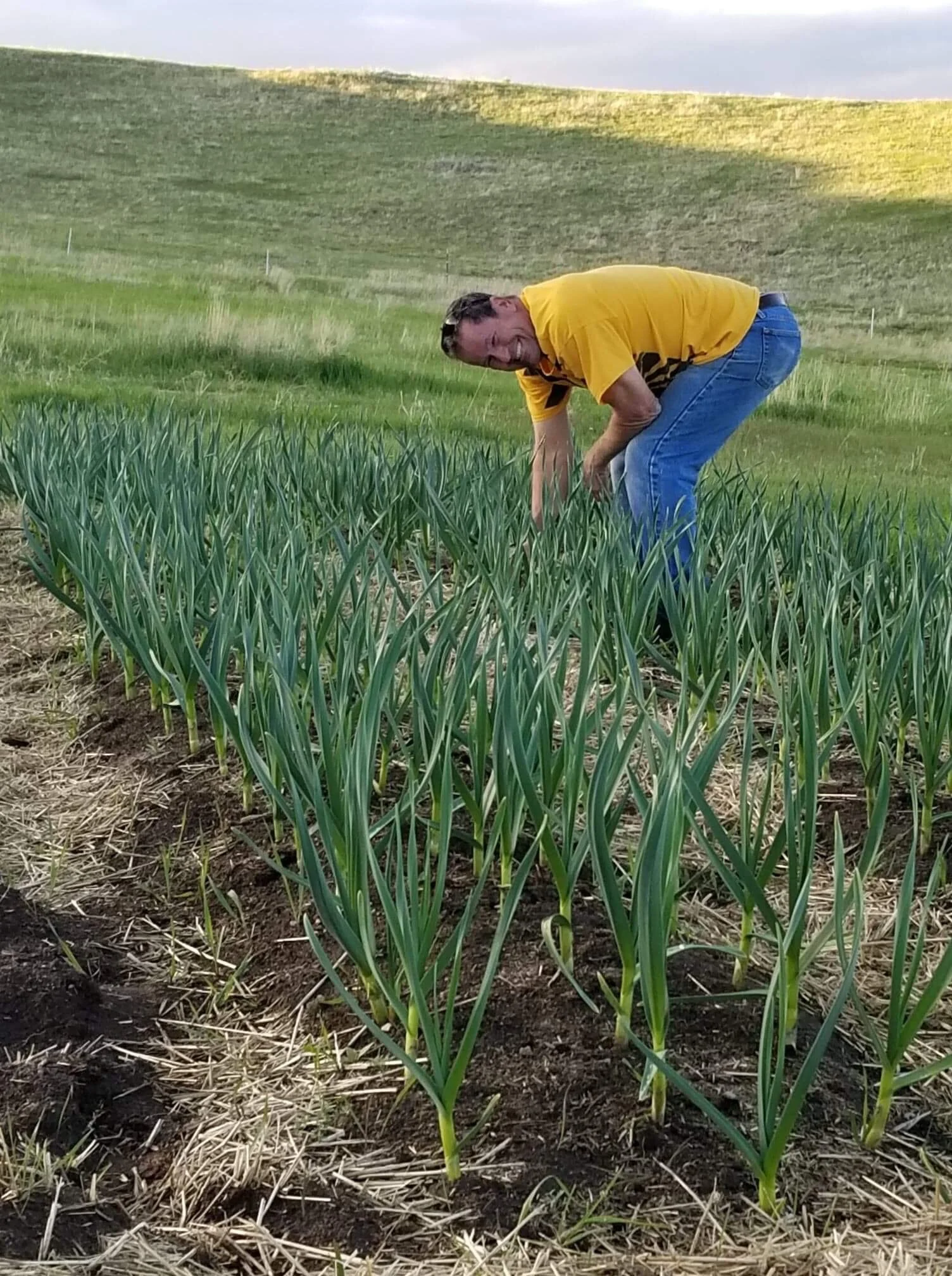 Kim's brother Brian weeding, May