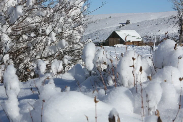 Our century-old log barn, December