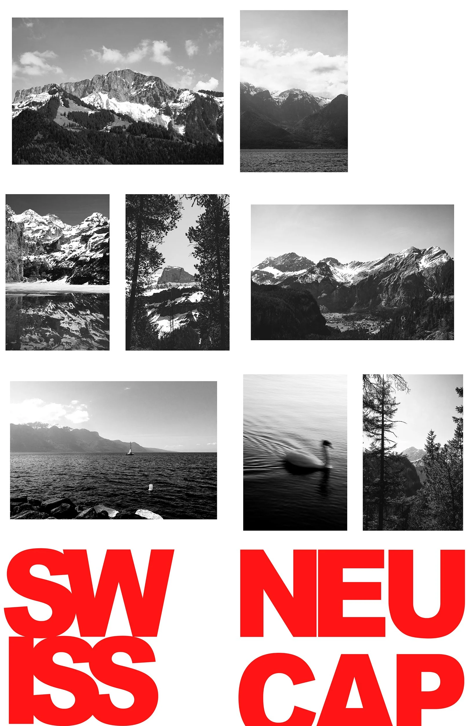 1SWISSZINE_PAGES_POSTER_WEB.jpg