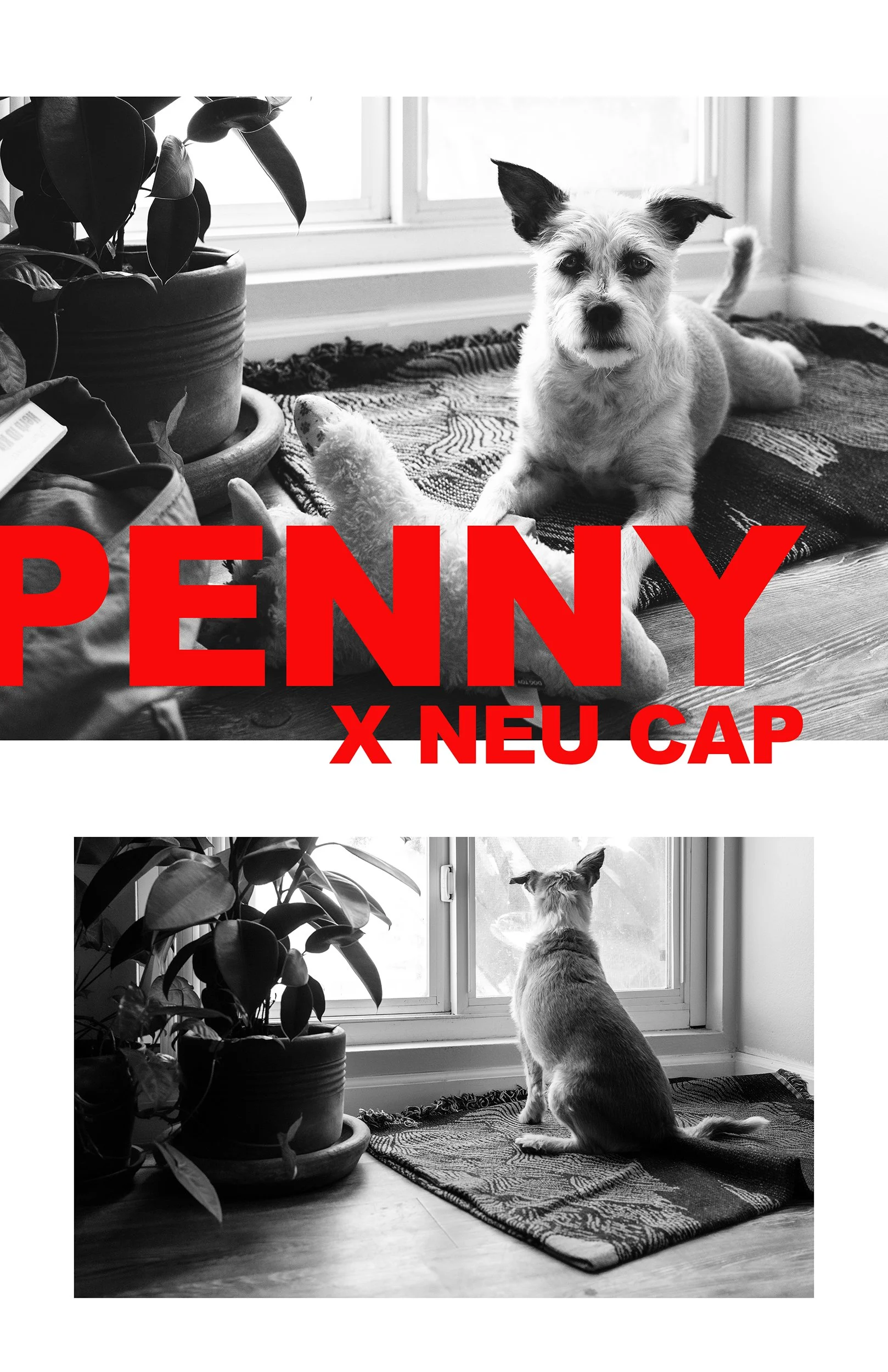 PENNYPOSTER_WEB.jpg