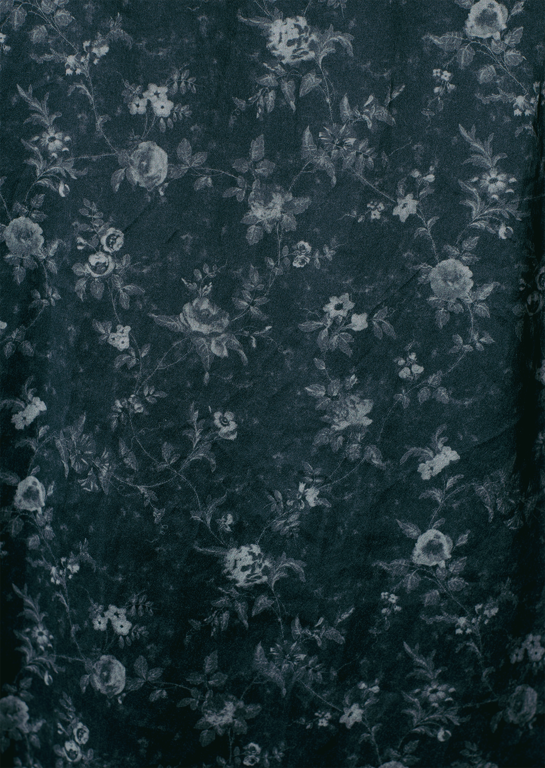 P40_JNG_6235 copy.png