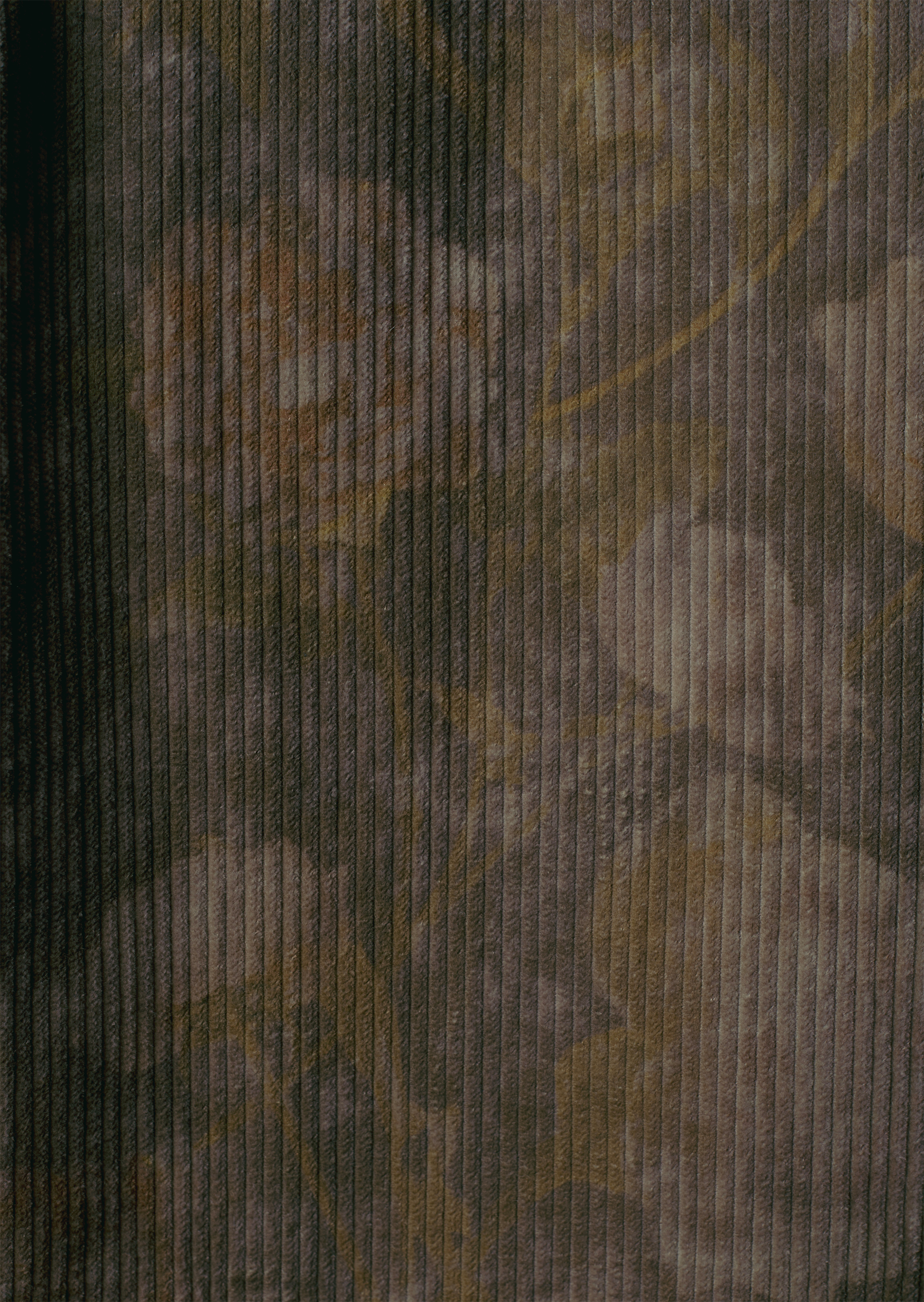 P52_JNG_6293 copy.png