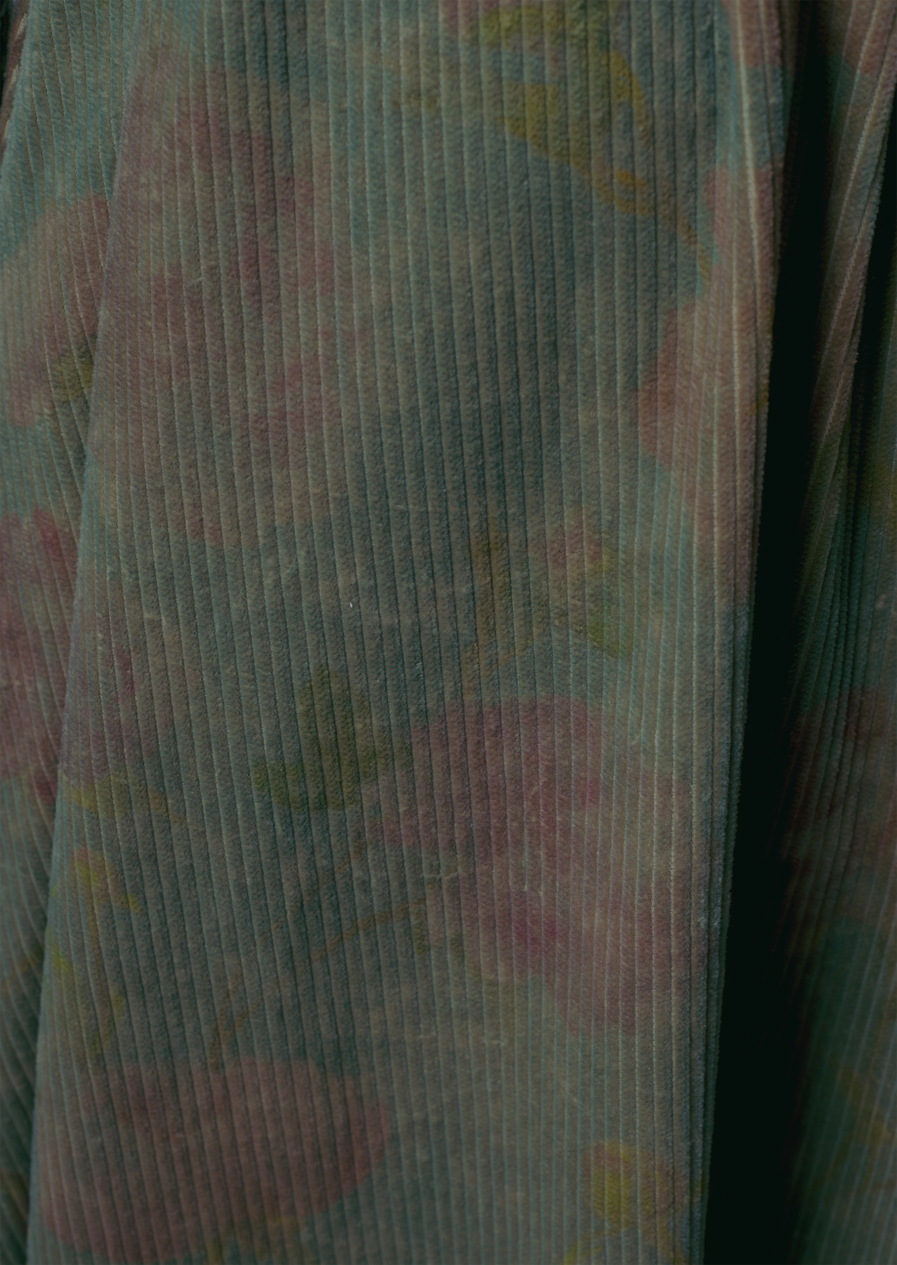 P66_JNG_6508 copy.png