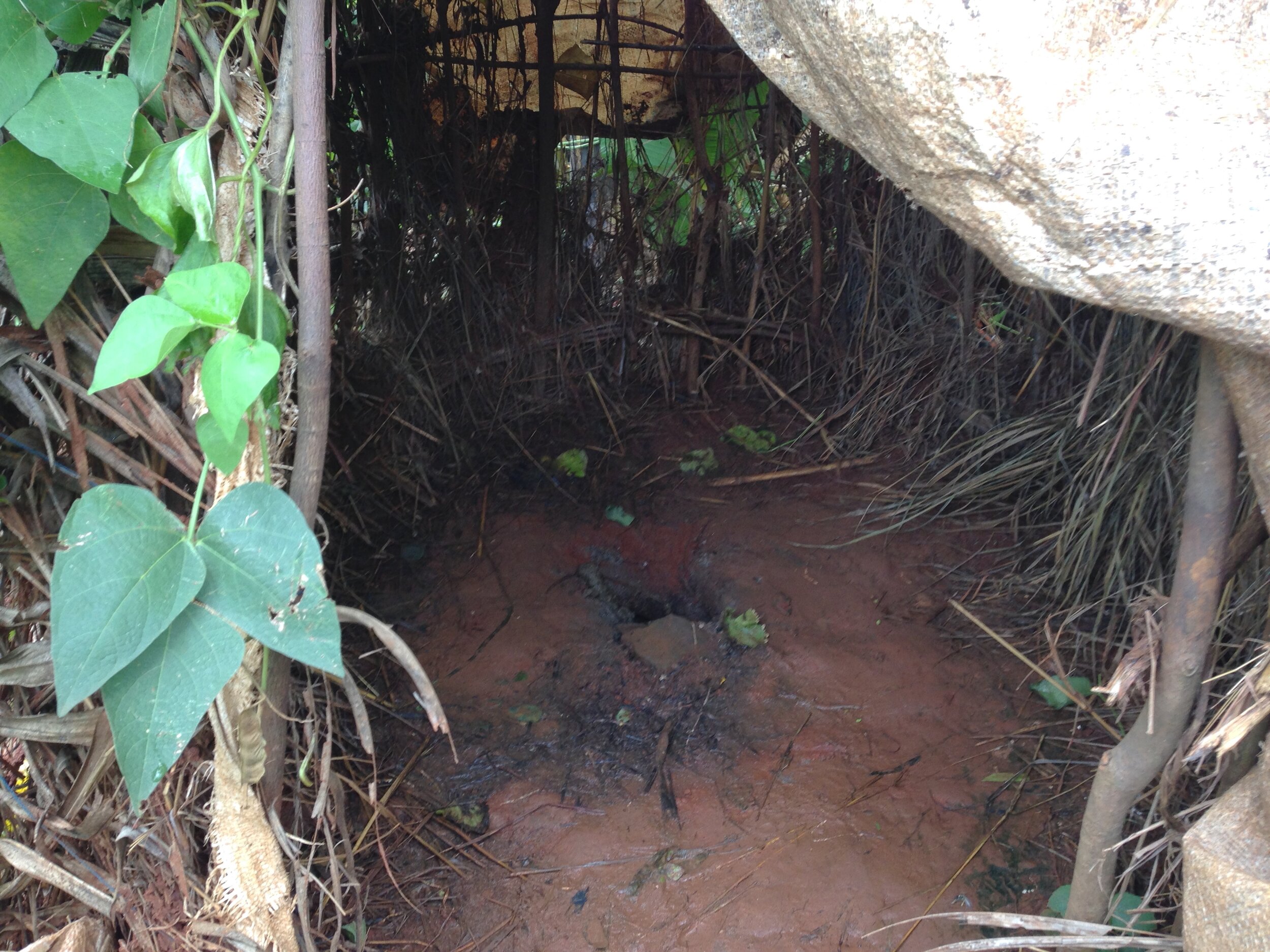 Latrines.2015-04.Burundi.00008.jpg