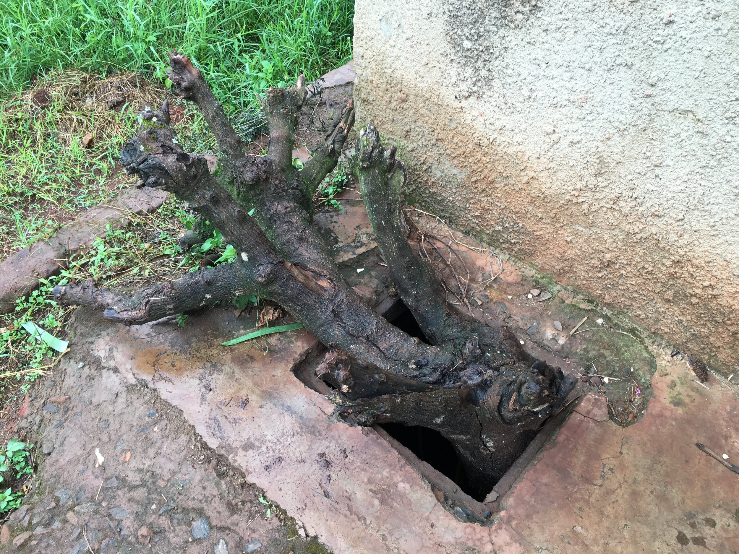 Latrines.2015-10.Uganda.00005.jpg