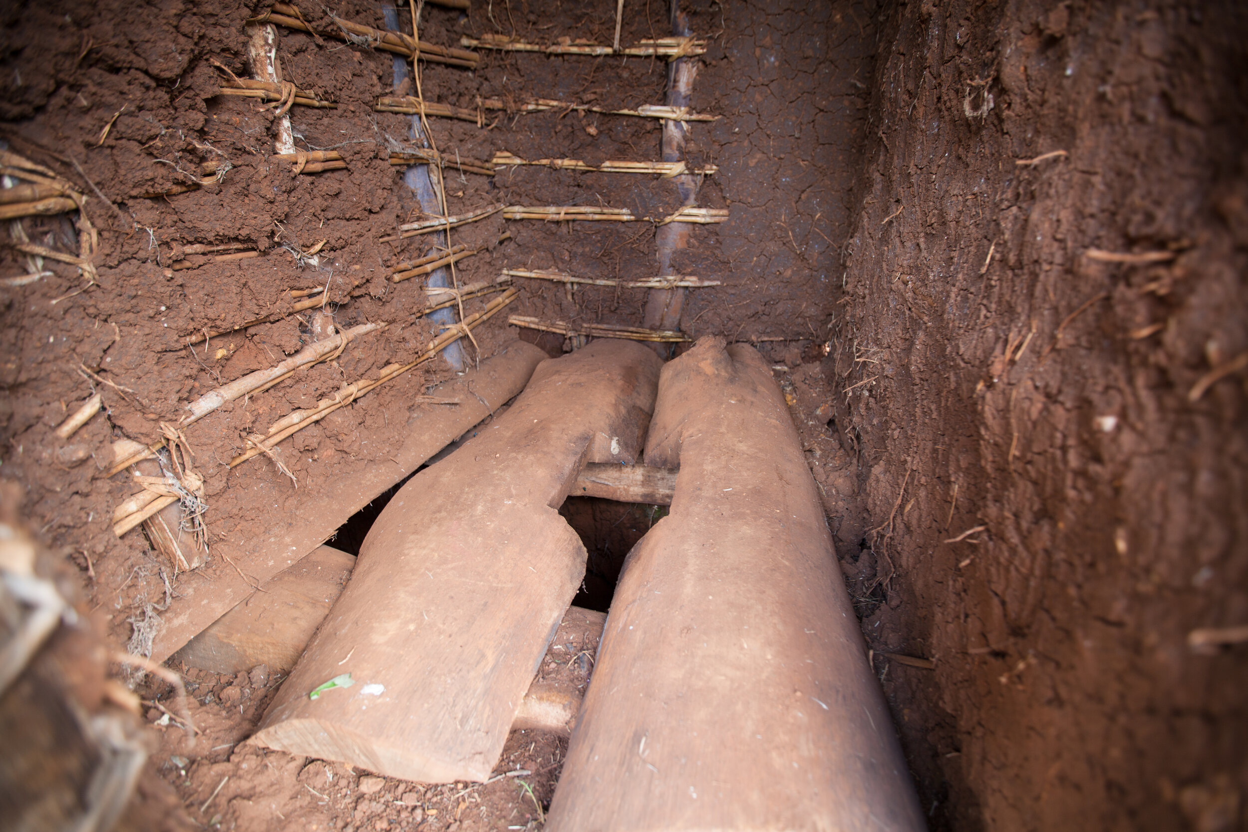 latrines-3.jpg