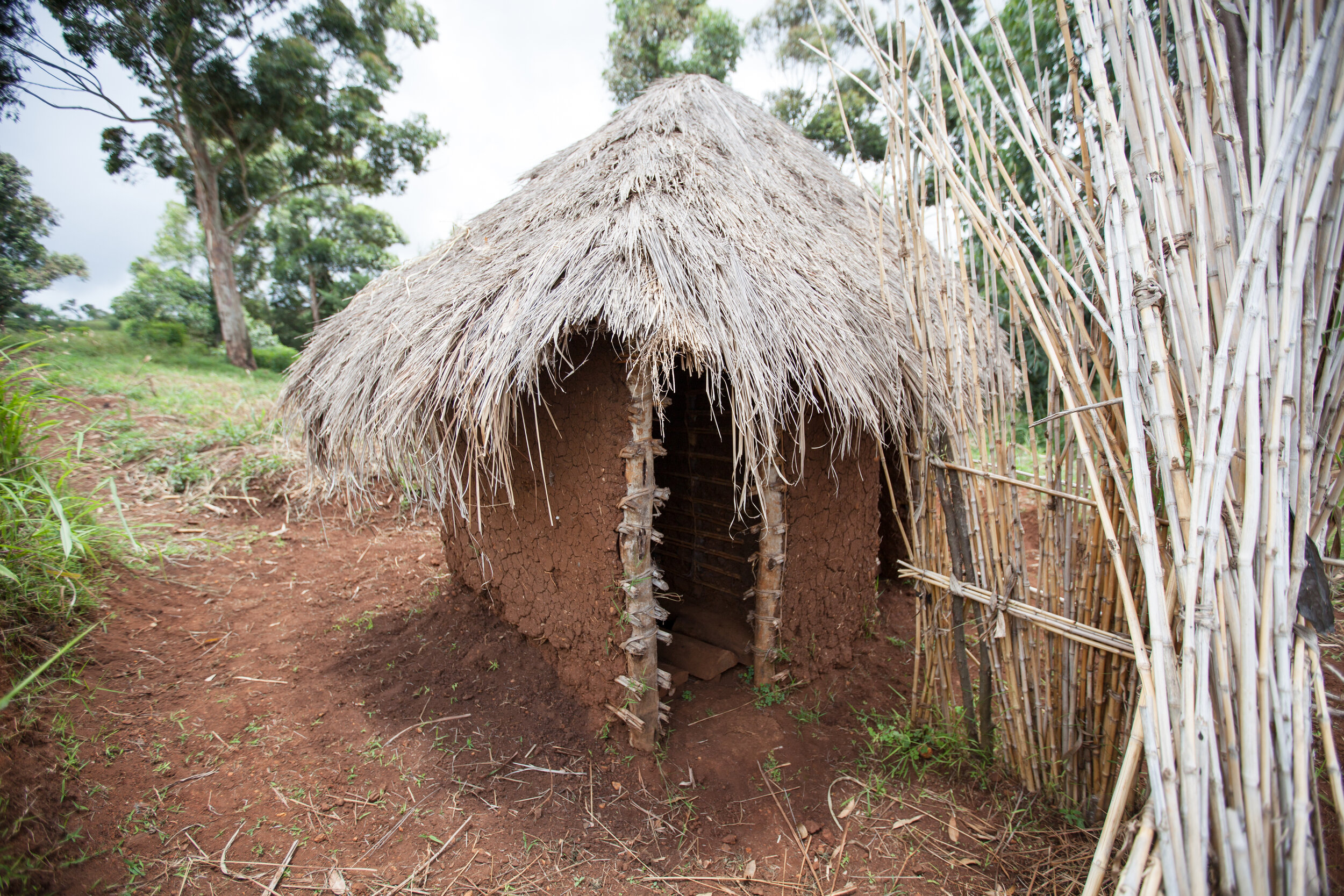 latrines-4.jpg