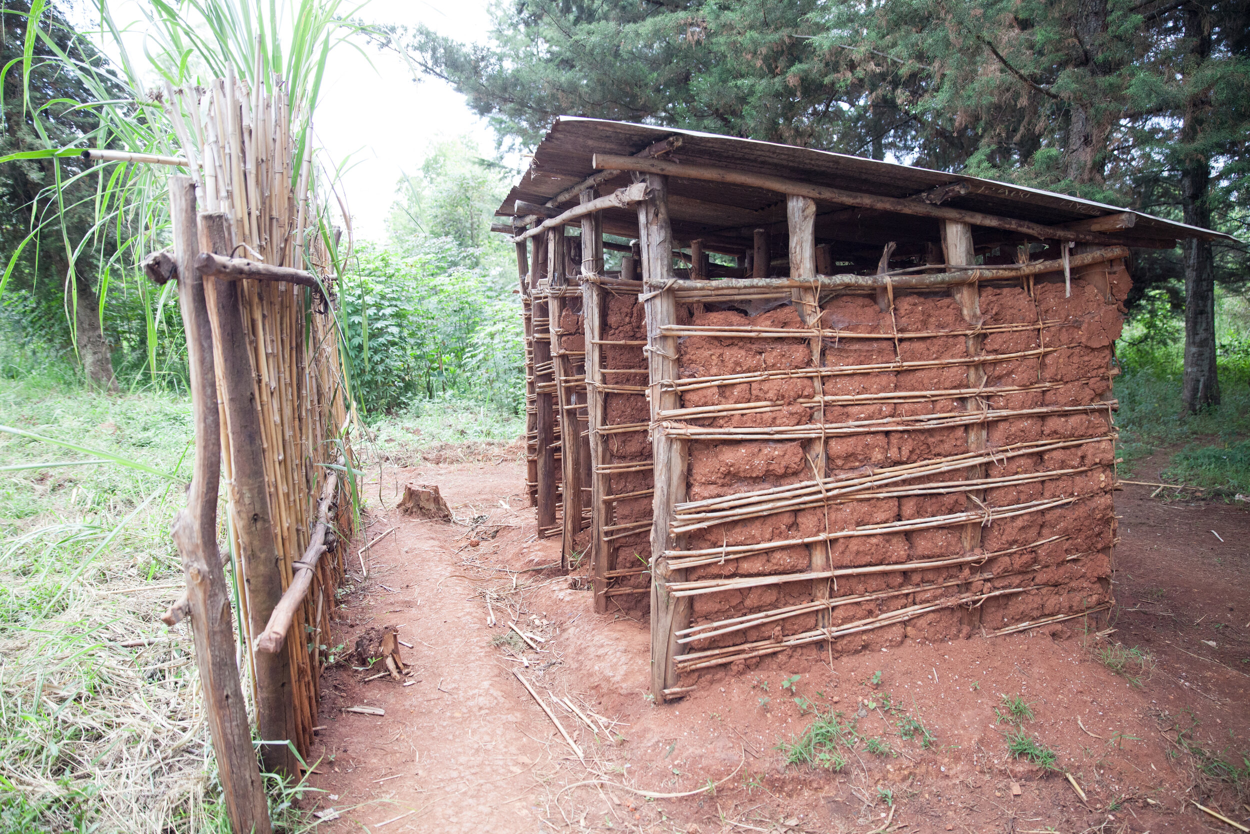 latrines-7.jpg