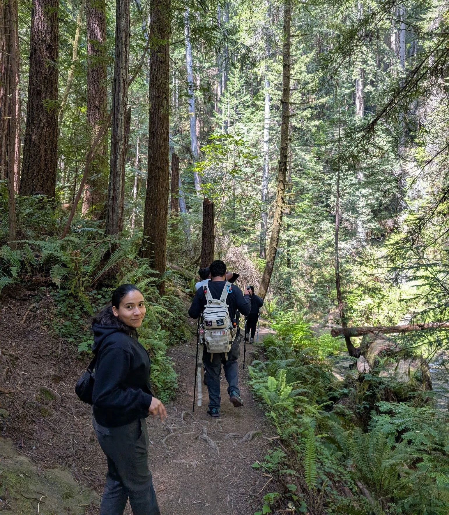 A group of people hiking on a forest trail surrounded by tall trees and green foliage.