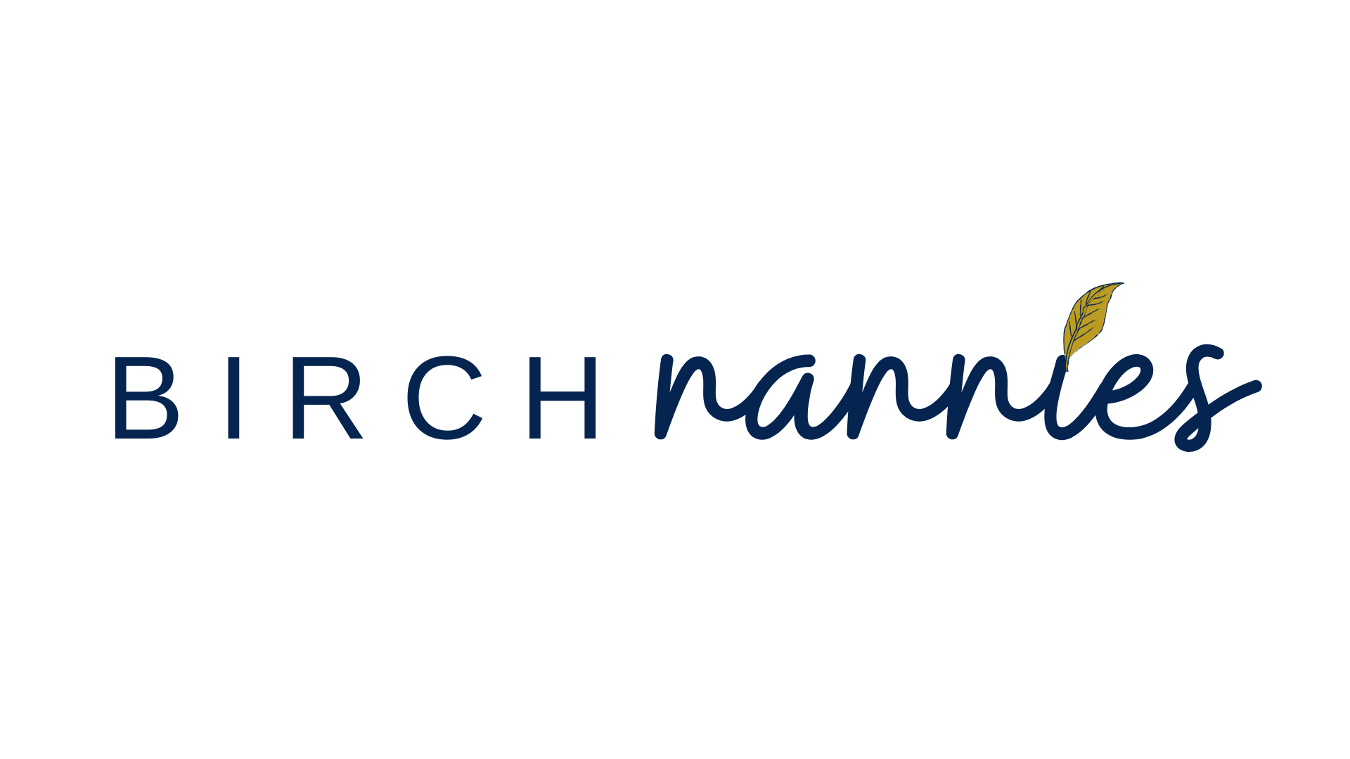 Atlanta | Nanny Agency in Atlanta — Birch Nannies | Best Nanny Agency  Atlanta — Birch Nannies | Nanny Agency Nannies Atlanta, Connecticut, Chicago