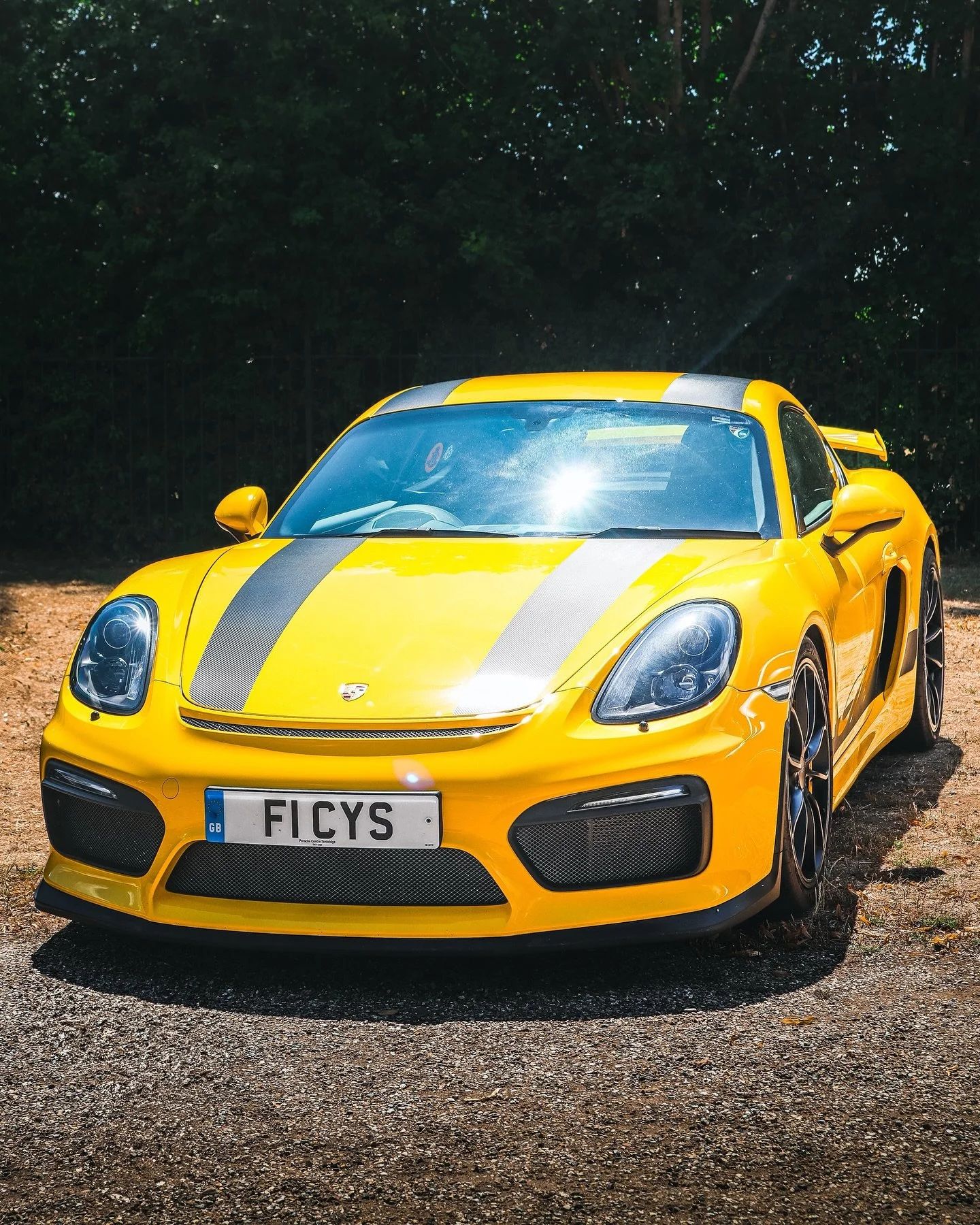 Yellow has never looked this deadly. Porsche Cayman GT4, built to hunt and sting every corner. 🐝