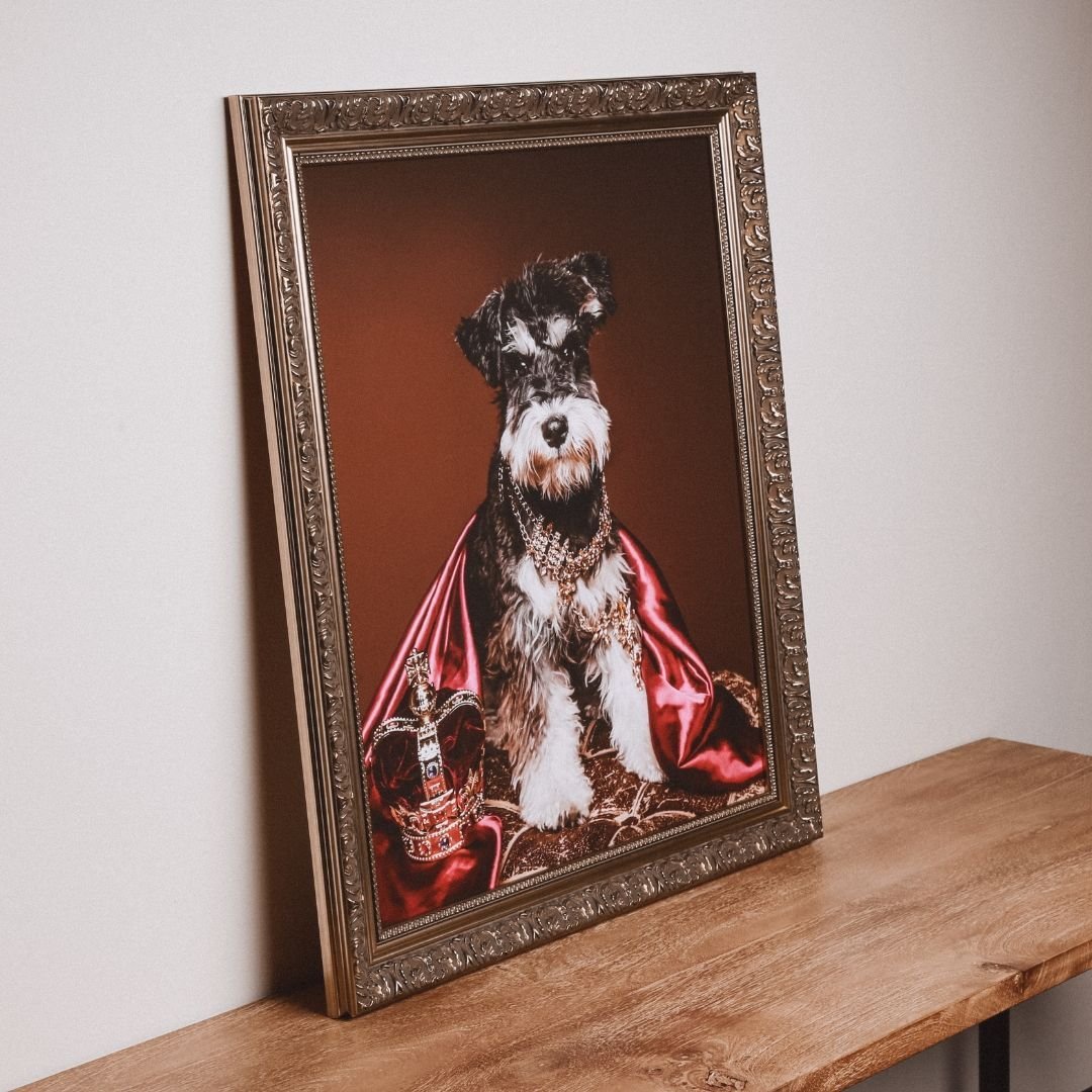 Behold, a show-stopping portrait! 🐾🎨 

Meet Baxter, the fur babe whose regal essence was captured in our studio for Swanky Paws Book Volume 2! 

But that's not all &ndash; at Studio1000 Photography, we love pushing the boundaries. 

Introducing our