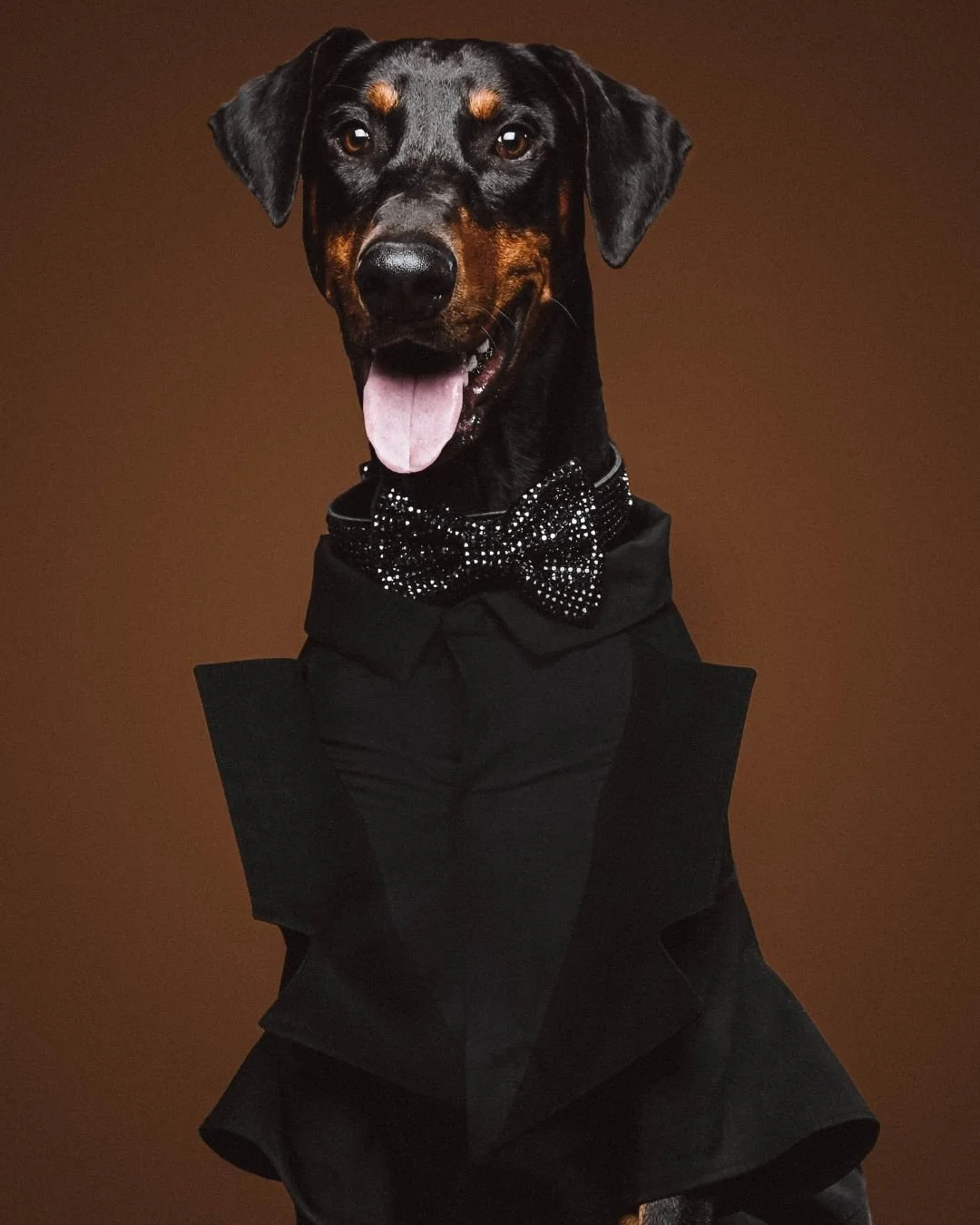 🐾📸Booking a photoshoot for your furry bestie? We&rsquo;ll capture every tail wag, sloppy kiss, and goofy grin ❤️ Because they&rsquo;re not just pets, they&rsquo;re family. 

 #PetPhotography #FurEverMemories #Studio1000