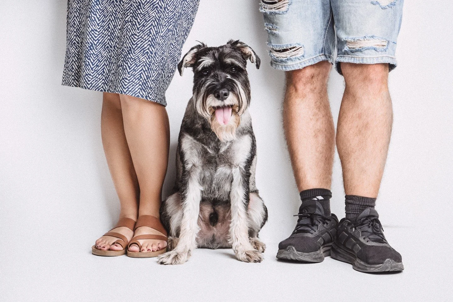 Transform everyday moments into cherished memories with your furry friend because every dog deserves their moment in the spotlight. ✨🐶