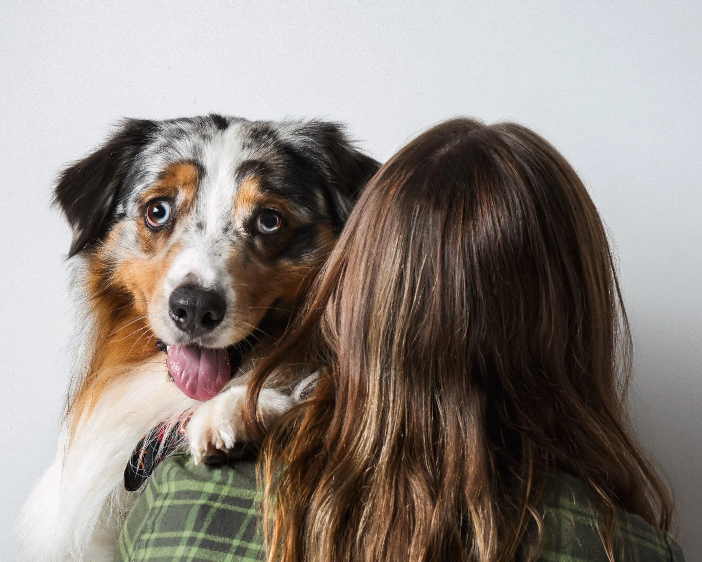 At Studio 1000, pets are family too! We celebrate each wag, purr, and nuzzle with heartfelt elegance. 🐱

#PetPhotography #FurryFamily #TimelessPortraits #PetLove
#ArtfulMemories #CherishedConnections