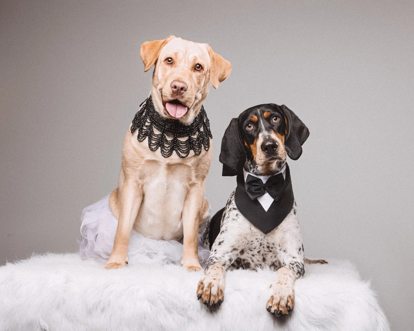 Capturing those soulful gazes that say "I&rsquo;m here for you" every single day. ❤️ swipe right>>