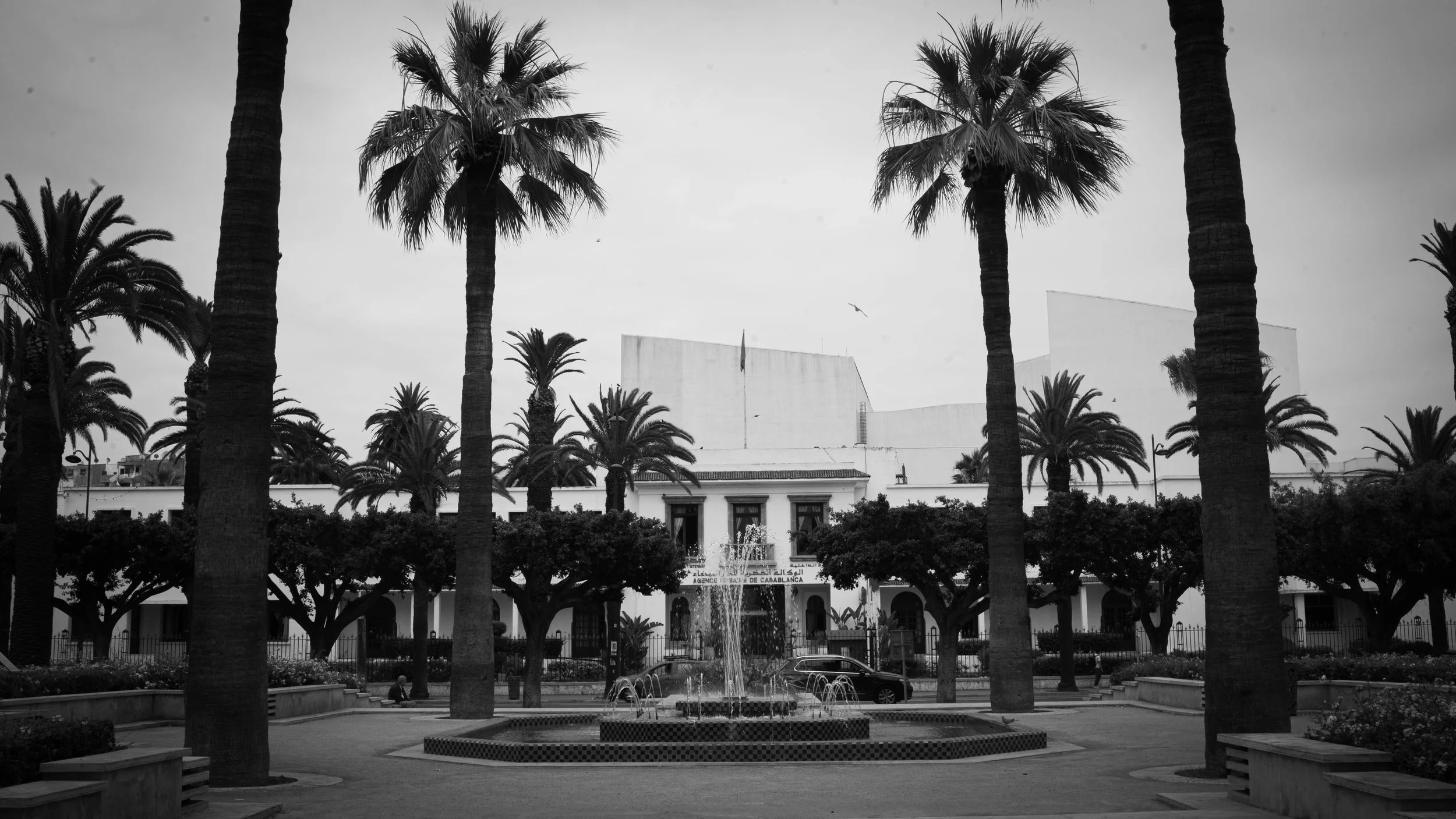 A black and white photo of a city park in Casablanca, Morocco with palm trees, a fountain in the center, and a building in the background.
