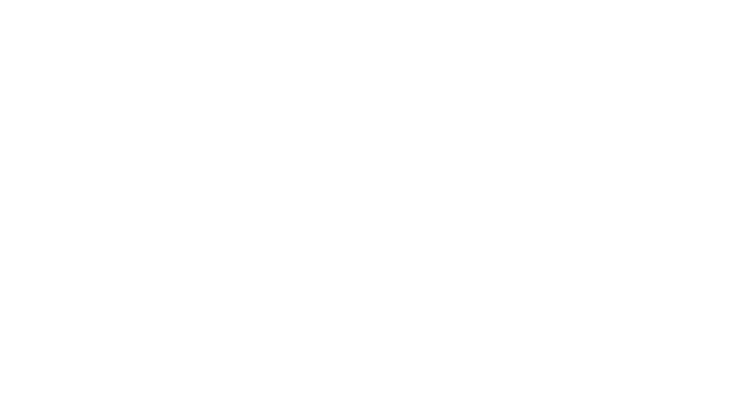 Bridges Mental Health