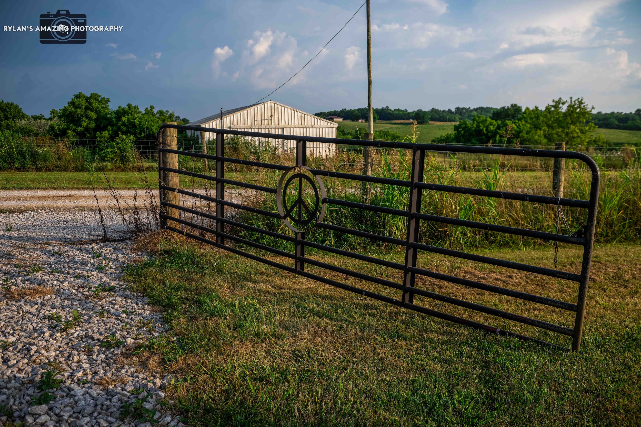 Watermarked-80.jpg
