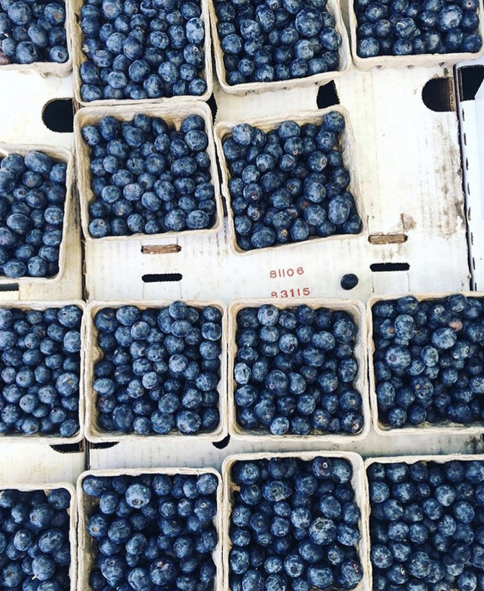 Foods that keep germs away
