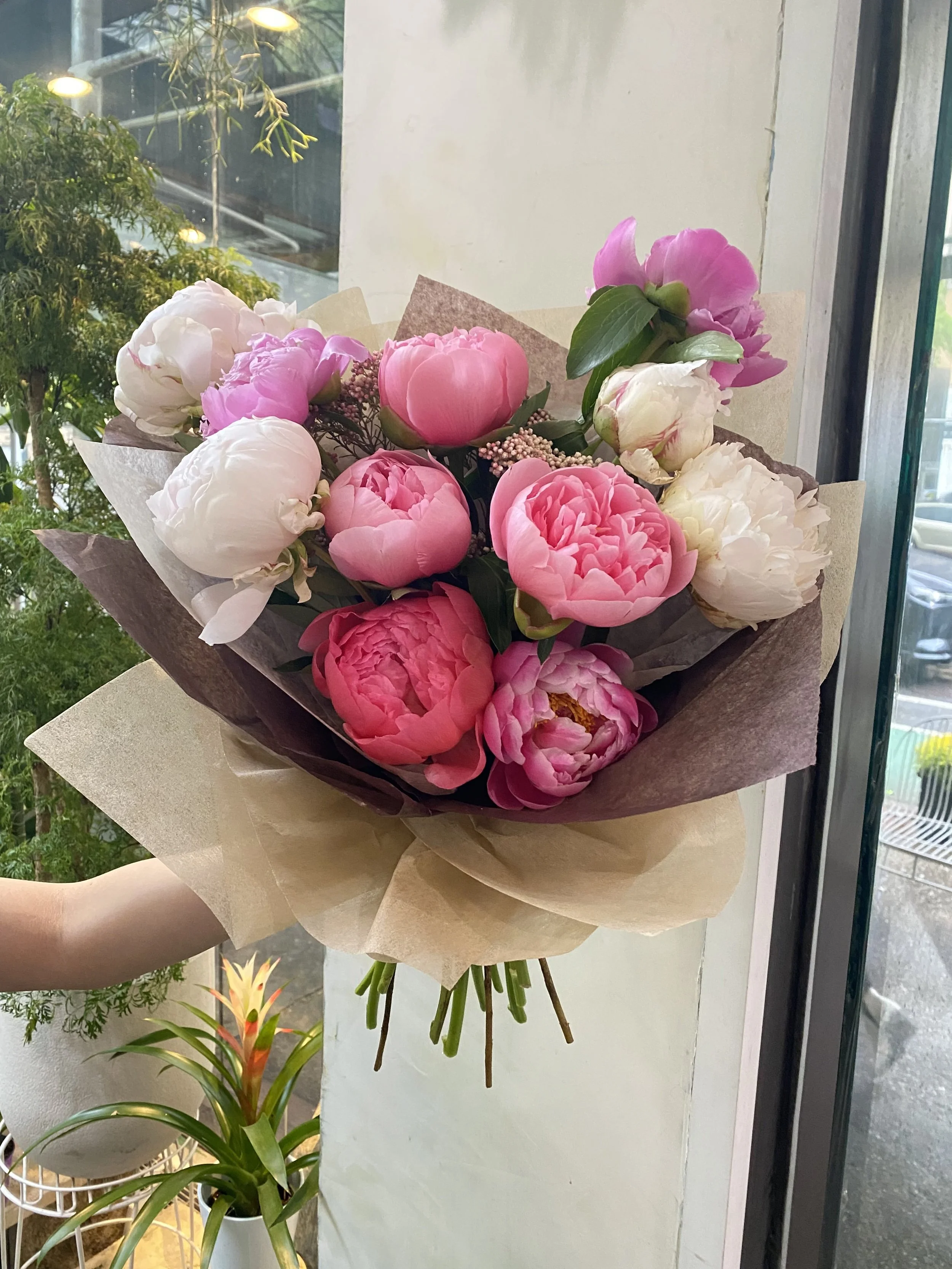 Dozen Peony 1.jpg