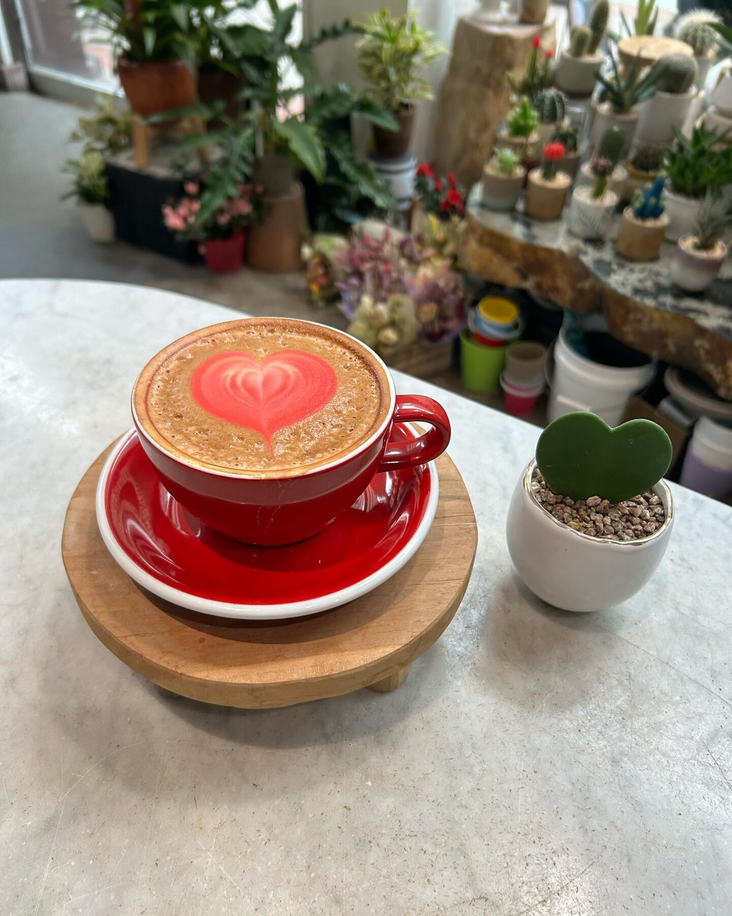 Heart-to-Heart.
#happyvalentinesday #sweetheart #hoyaplant #latteheart #remi43flowerandcoffee