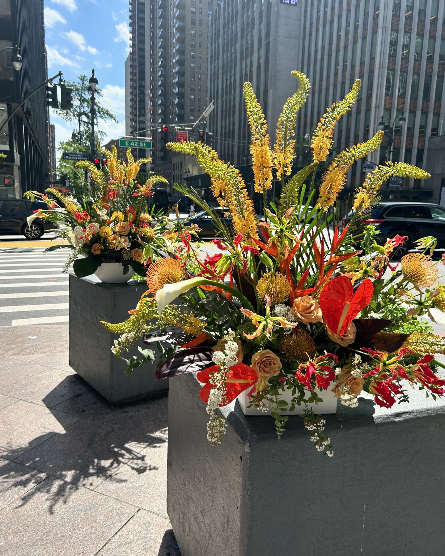 In the heart of city, blooms as vibrant as her love. Happy Mother&rsquo;s Day!
.
.
.
#mothersdayflowers #nycflorist #nycdelivery #flowerdelivery #happymothersday #loveyoumom #manhattanflorist #manhattanflowers
