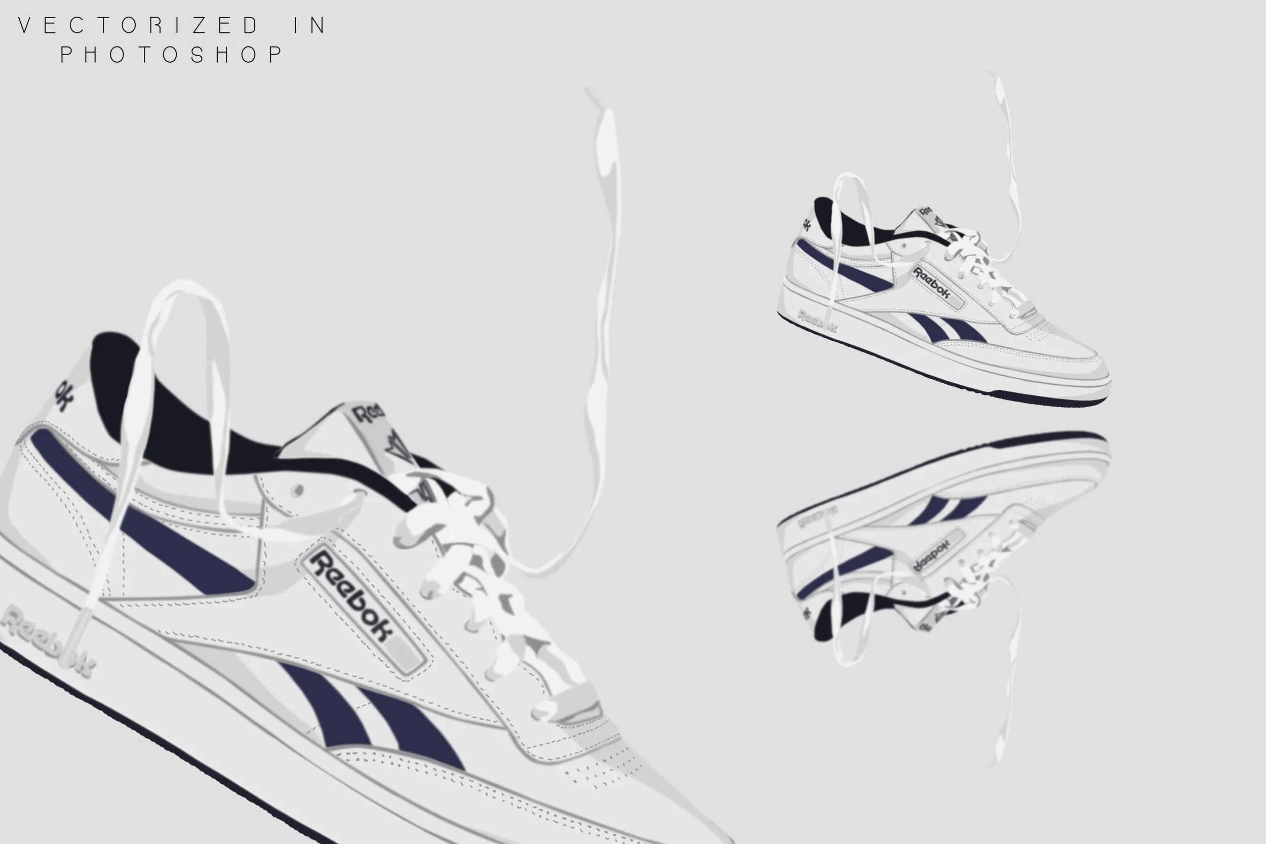 Floating shoe vector.jpg